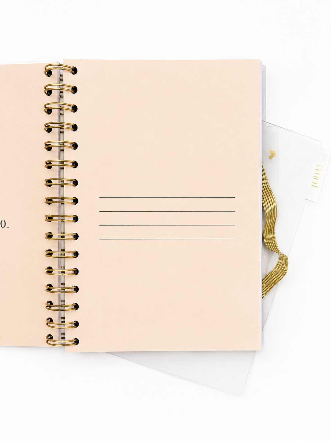 PRE ORDER // Agenda 2027 | Gouden Hartjes